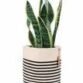 new-product-125x125-4.jpeg