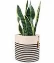 new-product-125×125-4.jpeg