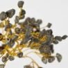 pyrite-crystal-prosperity-tree-125x125-3.jpg