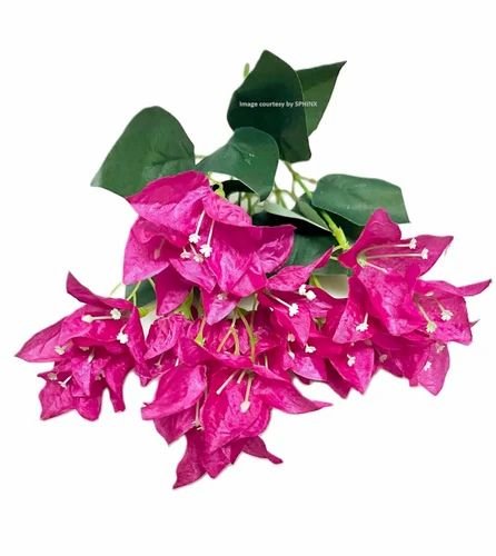 sphinx-artificial-bougainvillea-flowers-bunch-without-vase-height-30-cms-2-pieces-fuchsia-500x500-1.jpg sphinx-artificial-bougainvillea-flowers-bunch-without-vase-height-30-cms-2-pieces-fuchsia-500x500-1.jpg