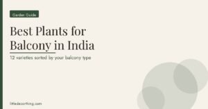 Best Plants Balcony India Featured Best Plants For Balcony In India: 12 Varieties Sorted By The Problem Your Balcony Has
