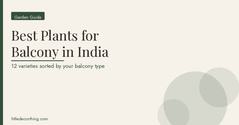 Best Plants For Balcony In India: 12 Varieties Sorted By The Problem Your Balcony Has