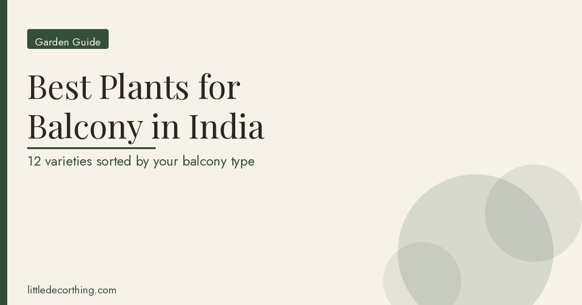 Best Plants Balcony India Featured Best Plants For Balcony In India: 12 Varieties Sorted By The Problem Your Balcony Has