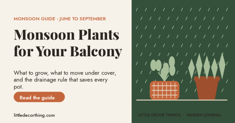 Monsoon Plants For Your Balcony: What To Grow And What To Move Before The Rains Hit