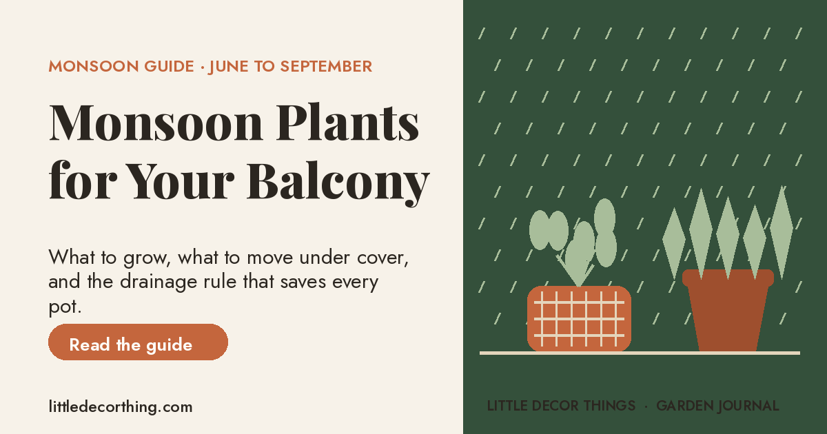 Monsoon Plants Balcony Featured Monsoon Plants For Your Balcony: What To Grow And What To Move Before The Rains Hit