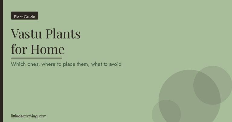 Vastu Plants For Home: Which Ones To Keep, Where To Place Them, And What To Avoid