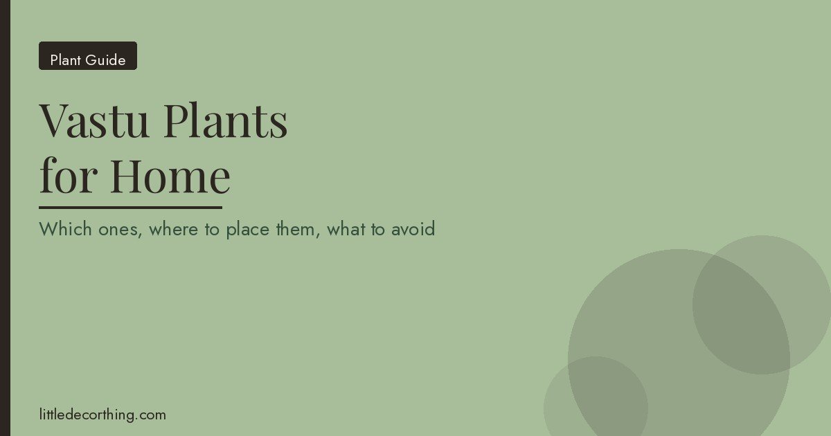 Vastu Plants For Home Featured Vastu Plants For Home: Which Ones To Keep, Where To Place Them, And What To Avoid