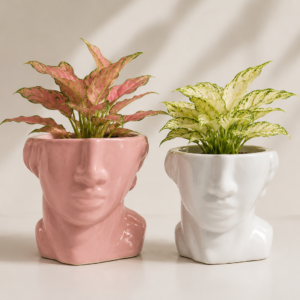 Chatgpt image aug 25 2026 03 49 01 pm half face ceramic plant pot